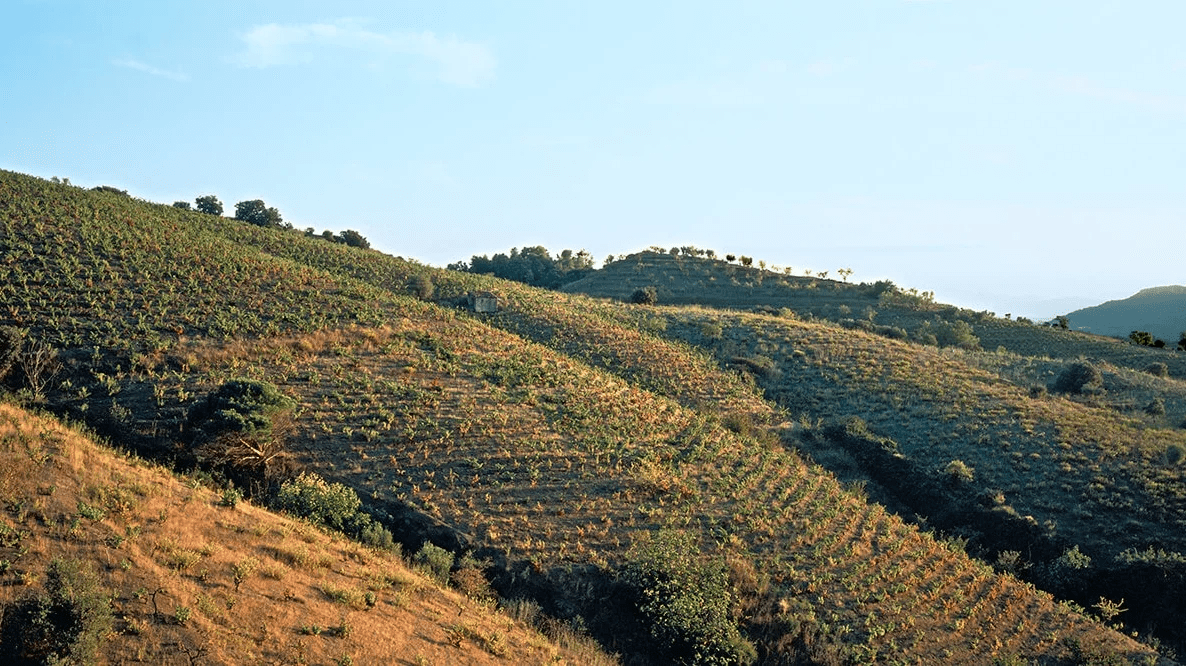 Aragón