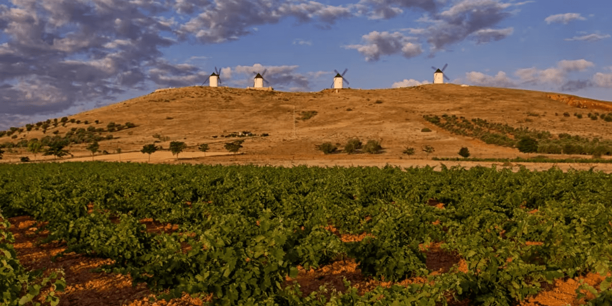 Castilla La Mancha