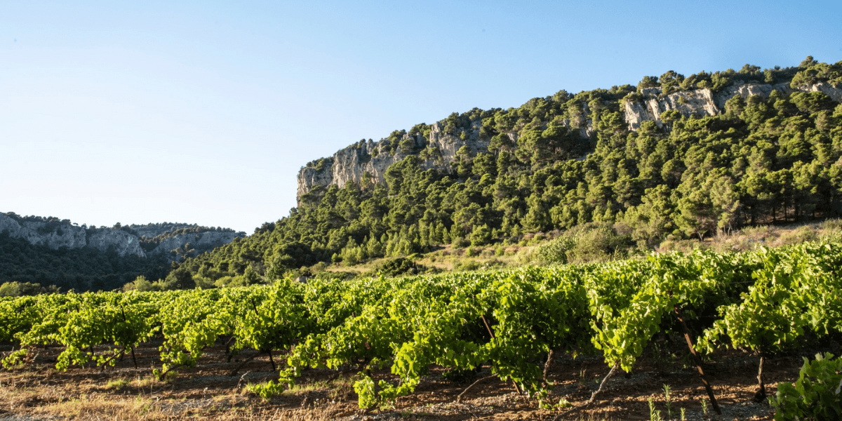 Languedoc-Roussillon