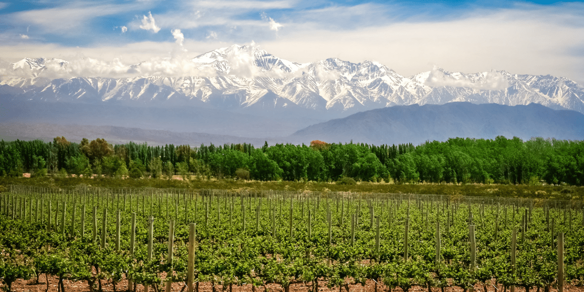 Mendoza