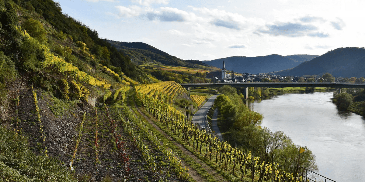 Mosel