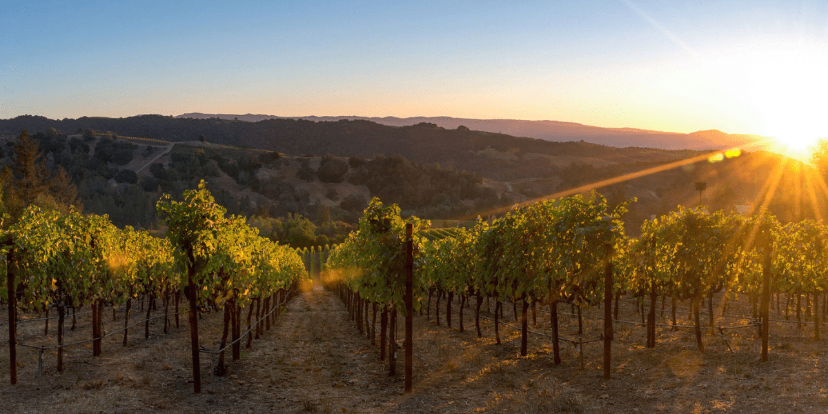 Napa Valley