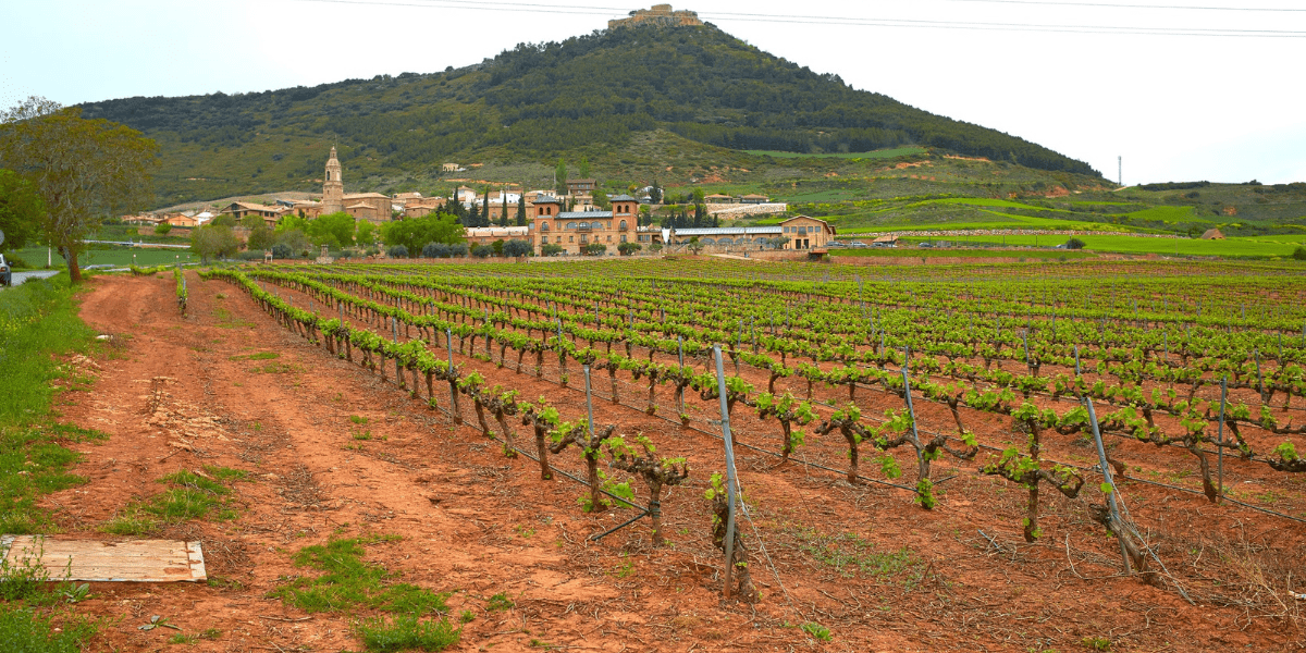 Navarra