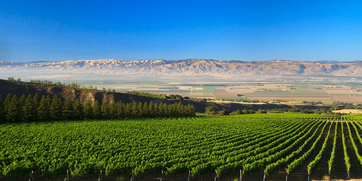 Russian River Valley