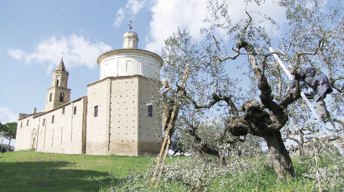 AZIENDA VINICOLA ILAURI