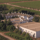 Bodega Familia Conesa