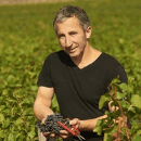 Domaine Rene Bouvier