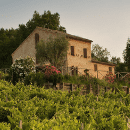 Azienda Agricola Centanni