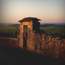 Domaine Joseph Voillot