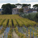 Domaine Les Yeuses