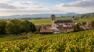 pomerol-bordeaux-wijn