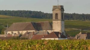 pommard-vineyard