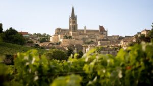 saint-emilion-bordeaux-wijngaarden