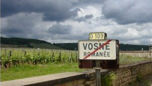 vosne-romanee-vineyard