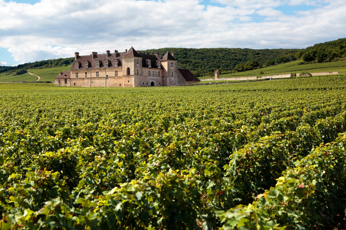 Frankrijk terroir