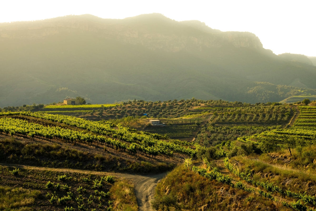 Spanje diversiteit Priorat