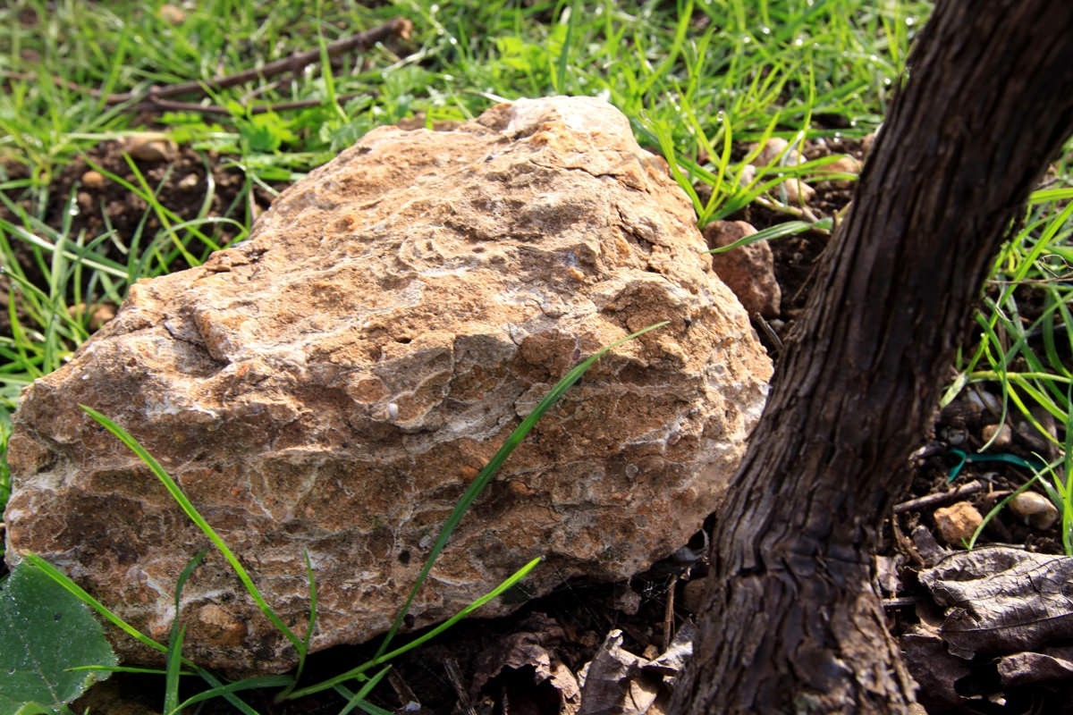 Australië Terroir