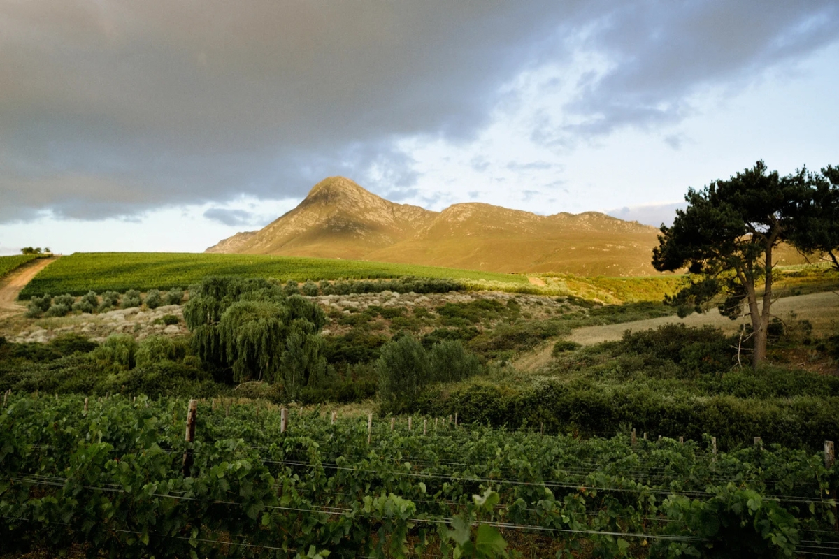 Zuid-Afrika Regio