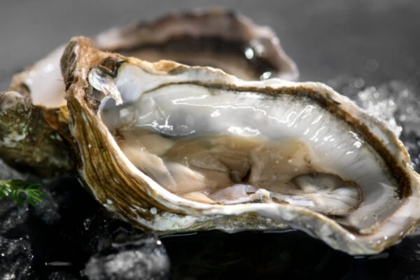 Verse oesters