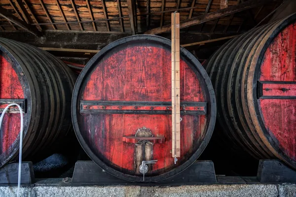 Grote houten portvaten in een traditionele wijnkelder