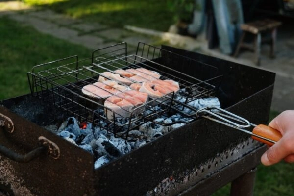 Zalm van de barbecue